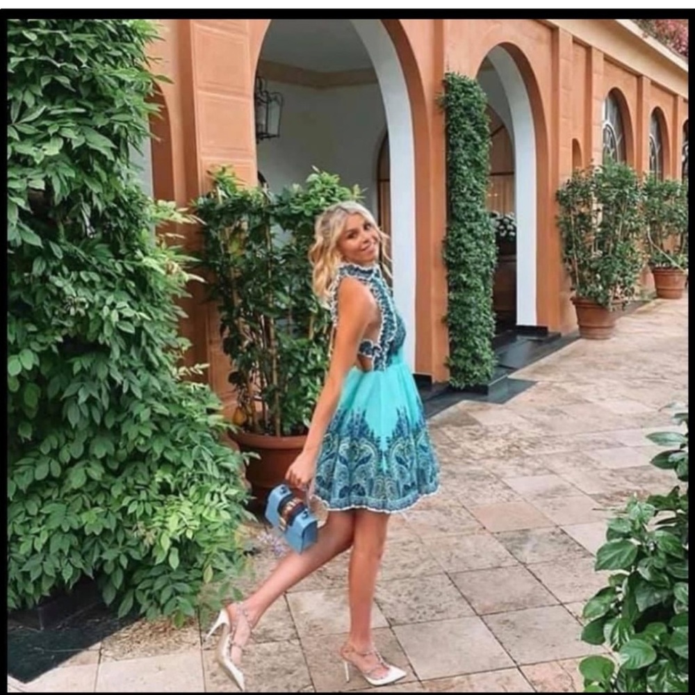 Zimmermann moncur ruffle dress
